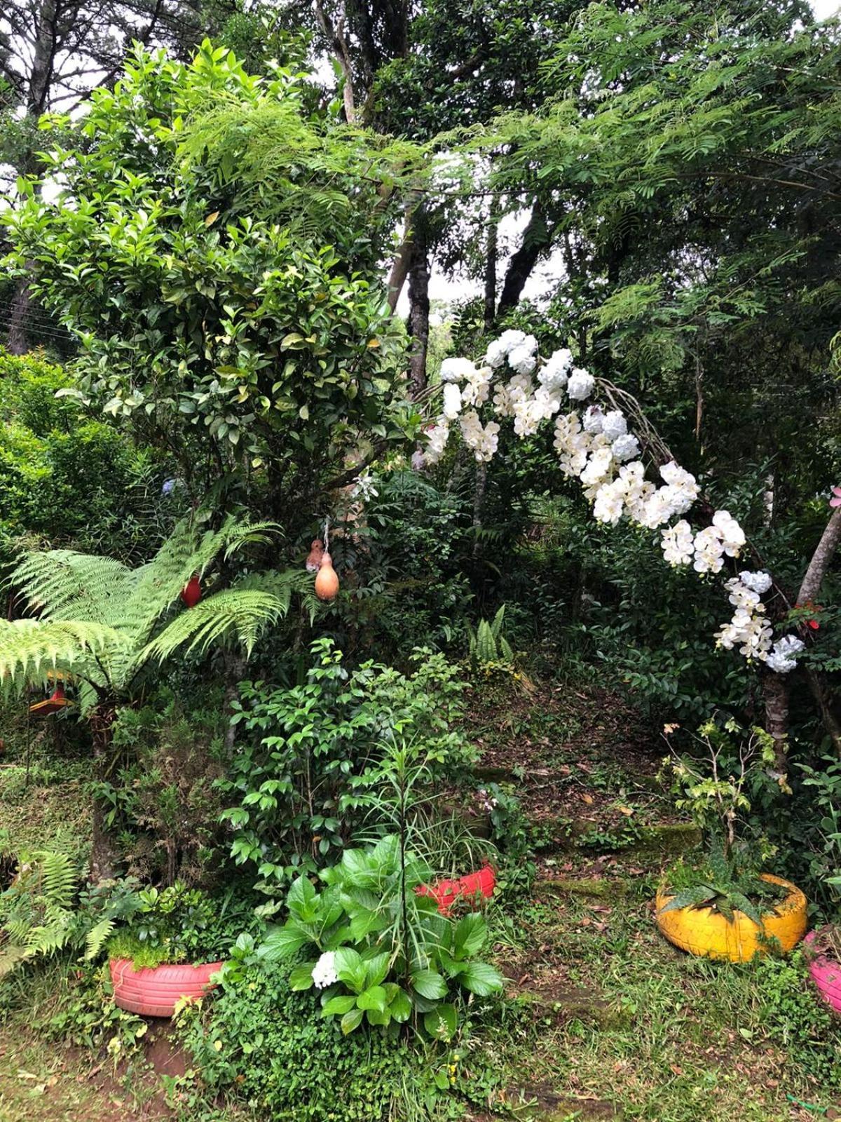 Recanto Familia Weiss Gramado Esterno foto